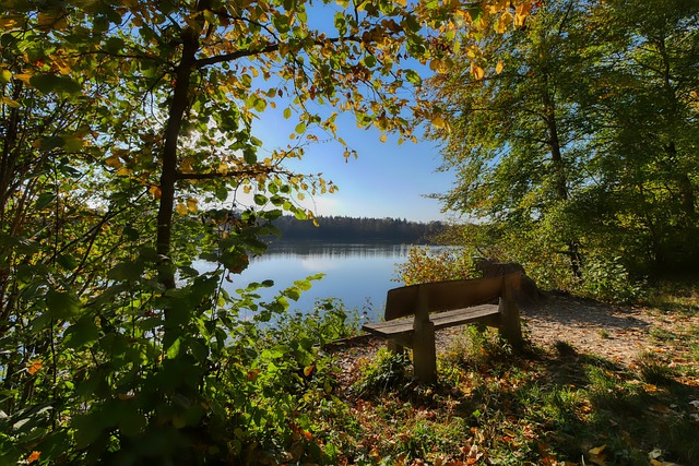 我校羽毛球 我校羽毛球