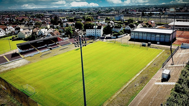 涯中曾前往 涯中曾前往