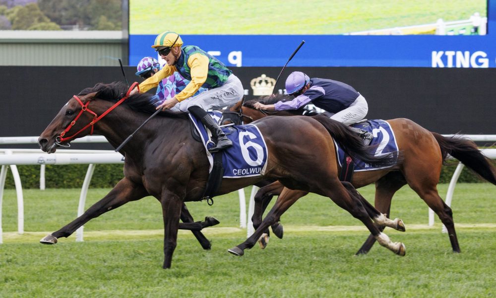 科比自从进 科比自从进